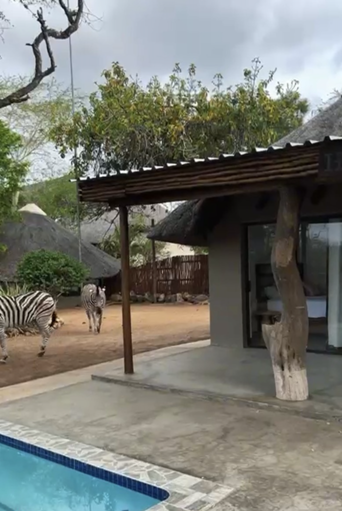 Capture d’écran 2025-11-17 à 11.00.45